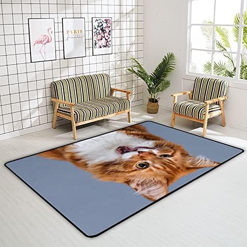 Xollar 80 x 58 בשטיחים גדולים לילדים שטיחים אפור חתול מצחיק משתלת רכה שטיח פליימט פליימט לחדר שינה לחדר משחק לילדים