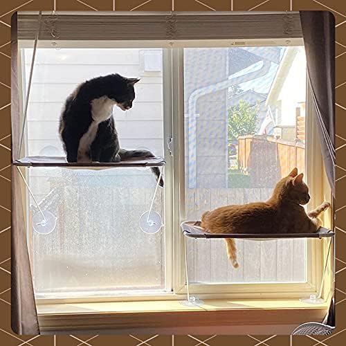 כל סביב 360 * להשתזף ותחתון תמיכה בטיחות ברזל חתול חלון מוט, חתול ערסל חלון מושב עבור כל חתולים