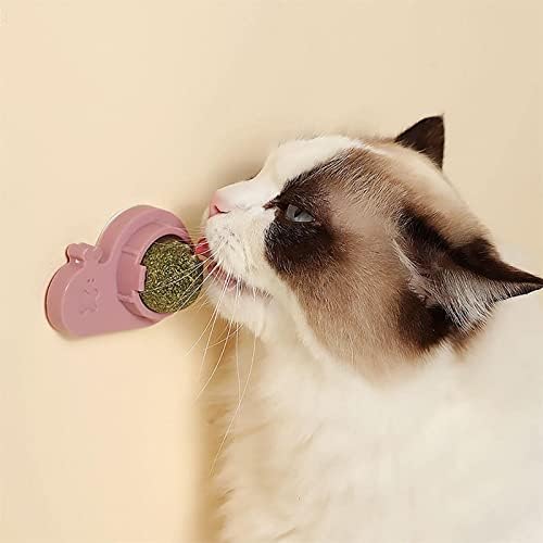 צעצוע קטניפ בצורת חילול של ברוק פאטל, חתול חתול מאכלת חתול מלקק צעצוע מלטה מנטה כדור קיר, כדור ניקוי שיניים צעצוע נשיכה,