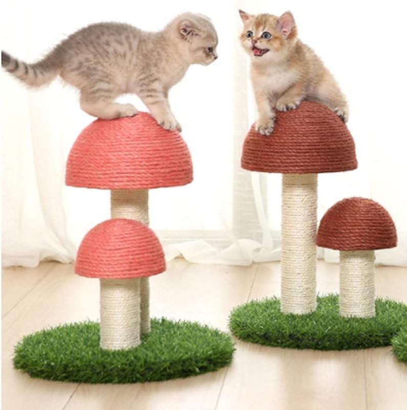 קקטוס לחיות מחמד חתול עץ צעצוע עם כדור גרוד חתול חתלתול טיפוס פטריות דירה