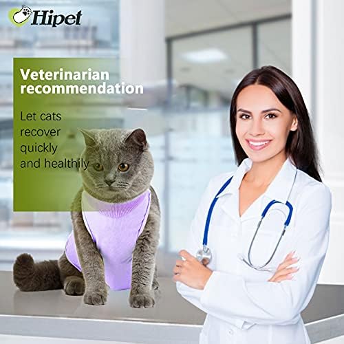 חליפת התאוששות ניתוחי חתולים לחתול לחתול מחלות בטן או מחלות עור, תחליף צווארון אלקטרוני וקונוס, חתול אונסי לאחר הניתוח ללבוש