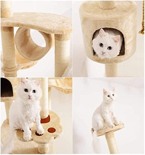 עץ חתול מגדל חתול חתול CONDO CORT CAT CATLE חתול טיפוס עץ