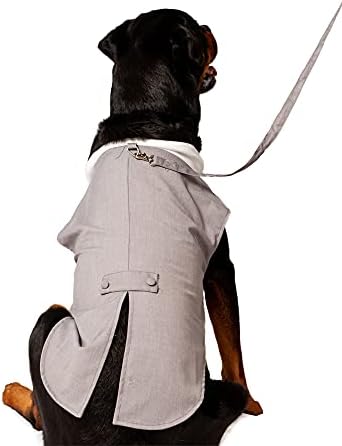 חליפת חתונה של טוקסידו כלב מידלי- כובע עליון אפור ורצועה
