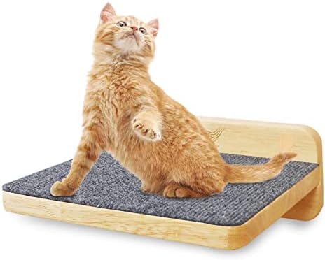 מולי & נמו חתול קיר ערסל, חתול קיר מדפים עם 2 צעדים, עץ חתול מוט, חתול קיר ריהוט, מודרני חתול מיטת לחתולים גדולים או קיטי