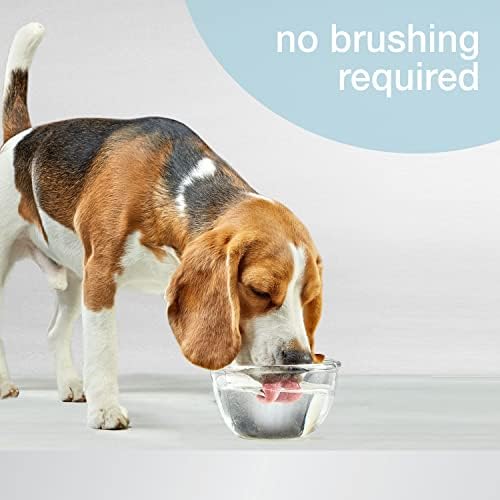 תוסף מים מתקדם לטיפול אוראלי לכלבים - מסיר אבנית נוזלי מקורי 32 עוז.